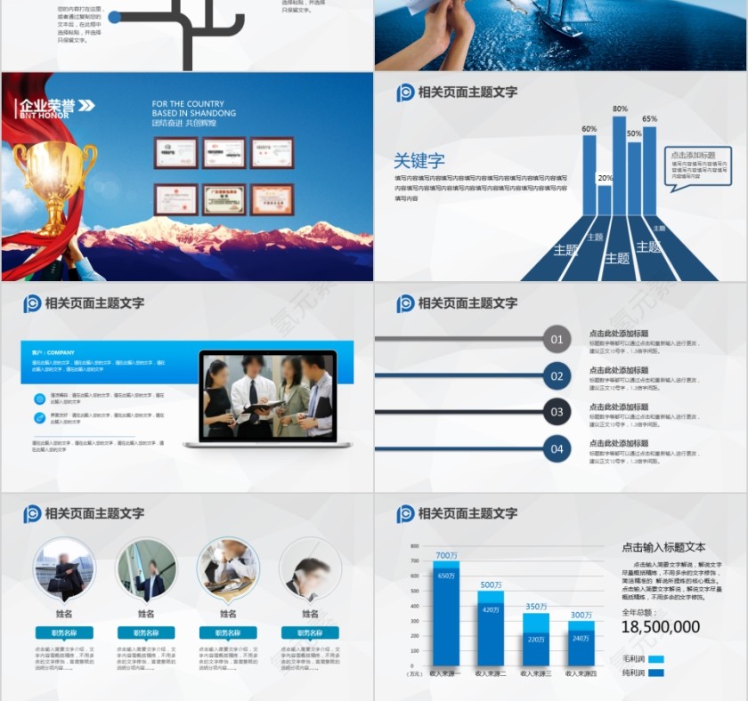 蓝色太平洋保险公司工作ppt模板第3张