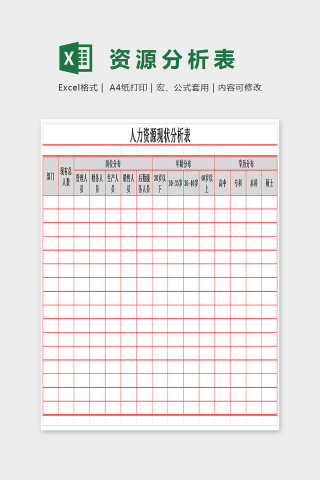 简单大方人力资源现状分析表Excel