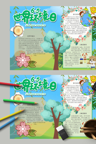 世界环境日设立宗旨小报