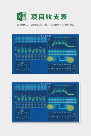公司项目收支明细表excel模版