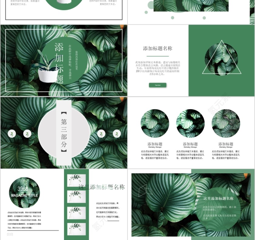 森系叶子背景工作通用PPT模板第3张