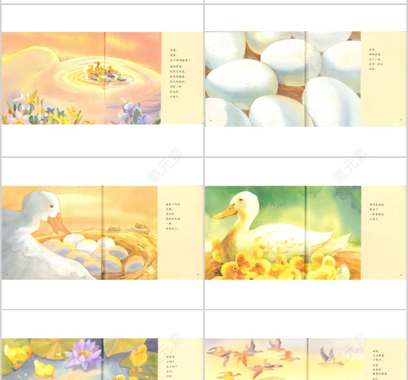 彩色的鸭子幼儿绘本教育课件 第3张