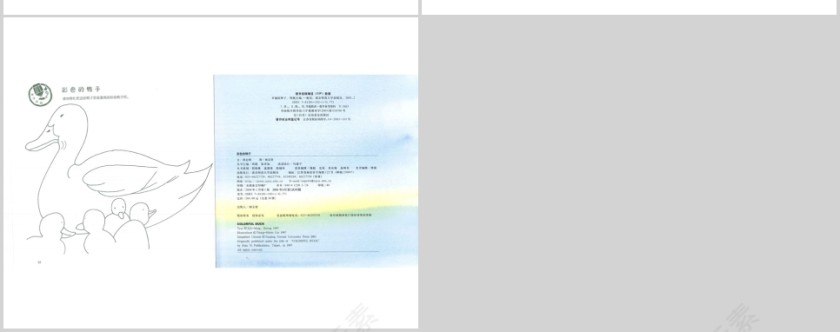 彩色的鸭子幼儿绘本教育课件 第5张