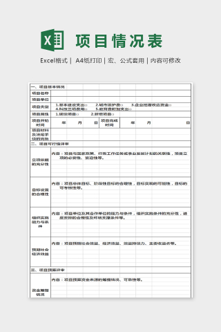简单大方精美项目情况表Excel