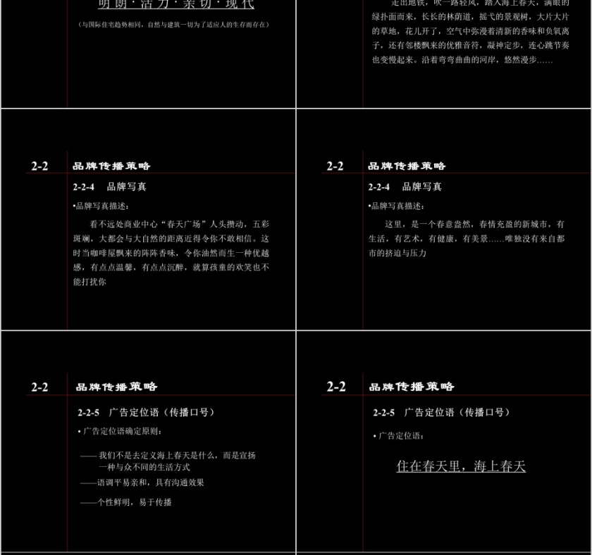 黑色房地产传播策略ppt第8张