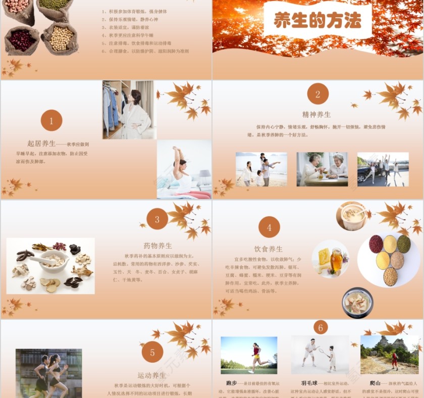 枫叶风韵秋季养生保健ppt模板第2张