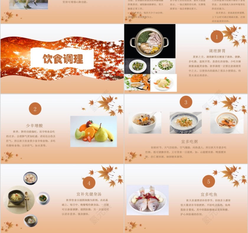 枫叶风韵秋季养生保健ppt模板第3张