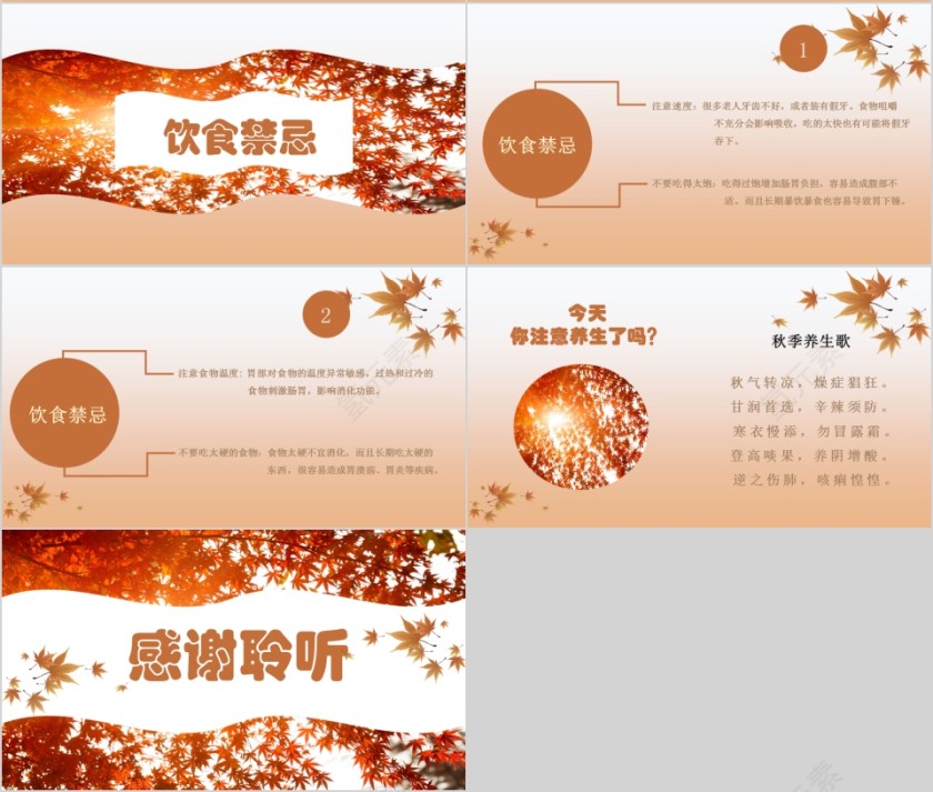 枫叶风韵秋季养生保健ppt模板第4张