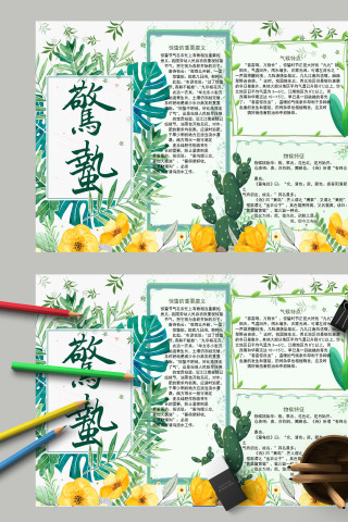 清新唯美绿色二十四节气惊蛰手抄报