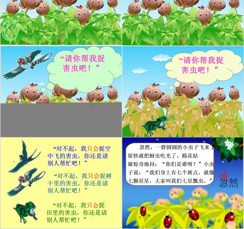 幼儿园中班优质课公开课为什么要保护七星瓢虫教学课件PPT 第2张