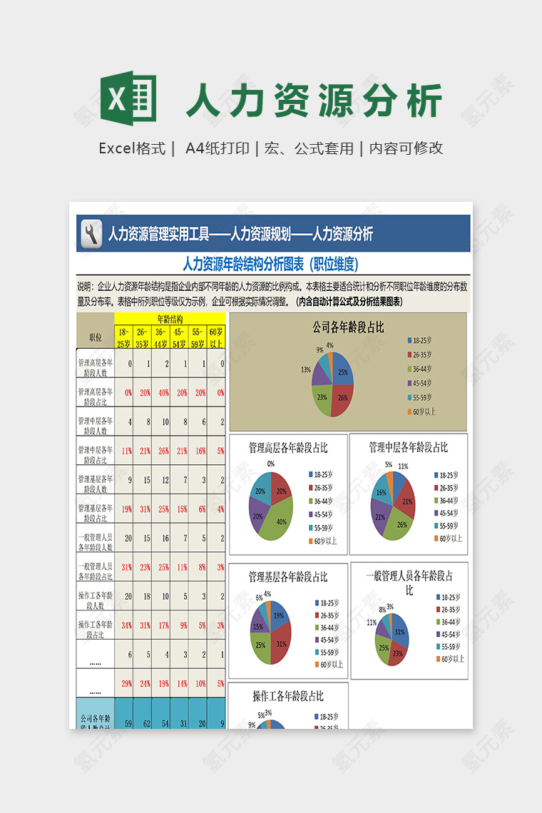 人力资源规划年龄结构分析图表excel母案