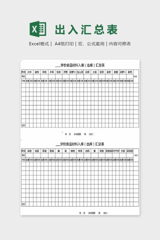 精美大方精美出入汇总表Excel
