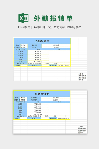  报销单实例拓展精美模版