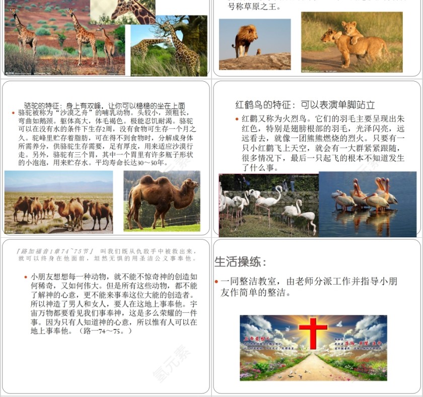 幼儿园中班优质课音乐瞧我是人教学课件PPT 第4张