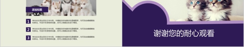 呆萌宠物商店商业计划书模板第5张