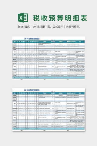 年度各项税费预算明细表excel模板