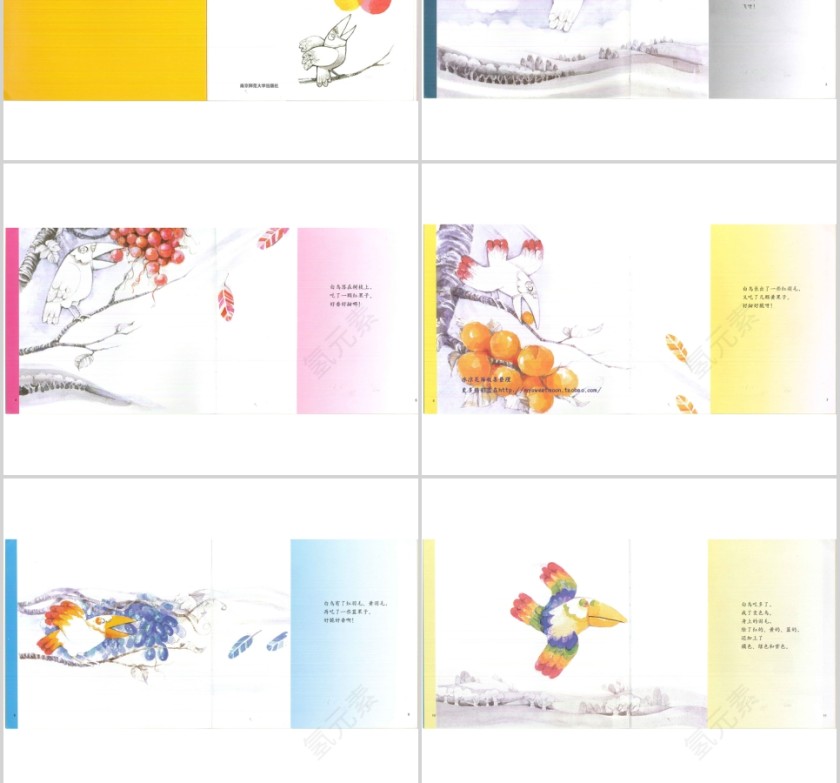 变色鸟幼儿绘本教育课件 第2张