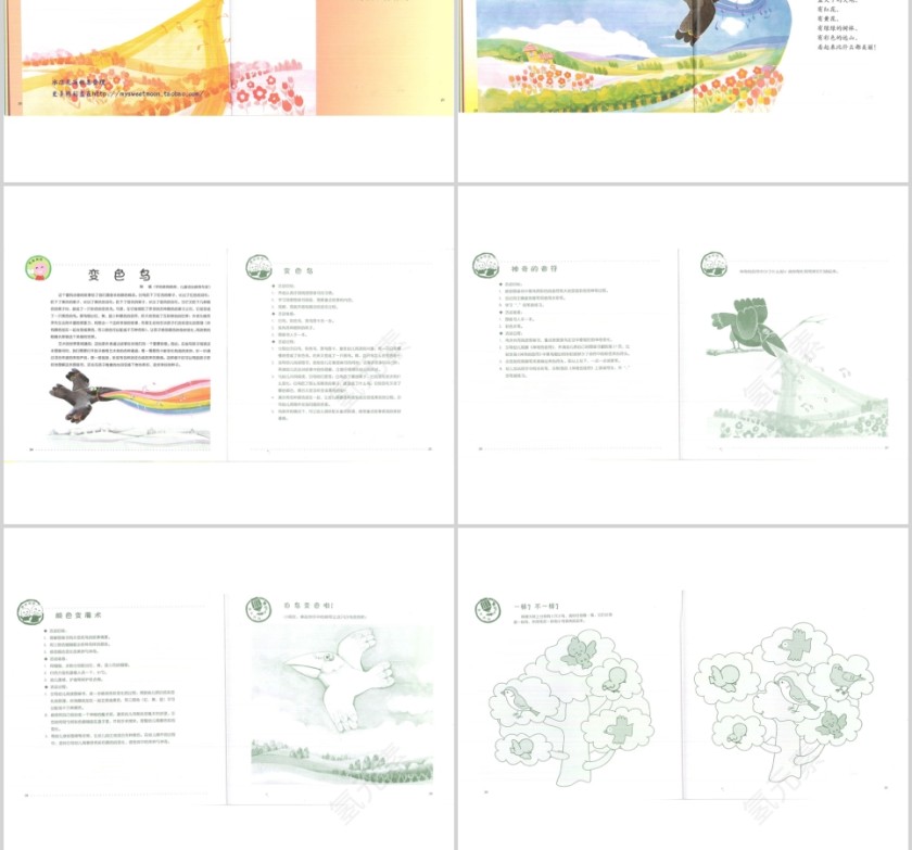 变色鸟幼儿绘本教育课件 第4张
