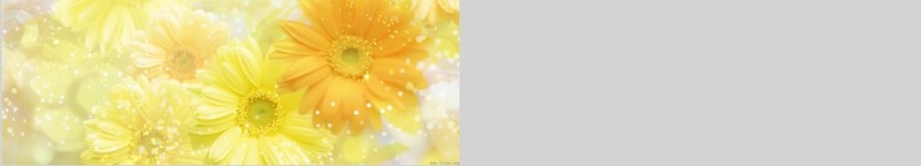 幼儿园家长工作沟通的艺术PPT第12张