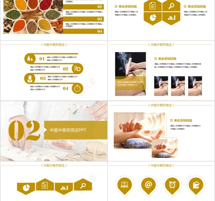 中医中草药简述 总结报告PPT第2张