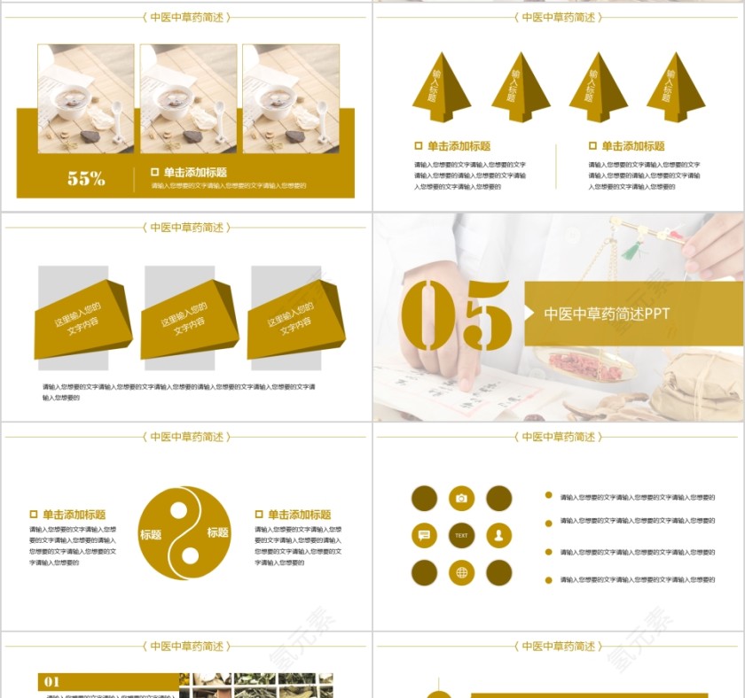 中医中草药简述 总结报告PPT第4张