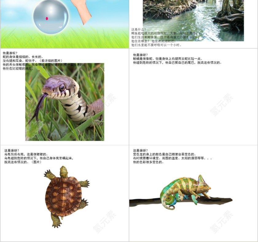 幼儿园创意美术神奇的鳄鱼ppt第2张