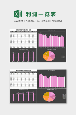 销售小组月度利润分析组图excel模板