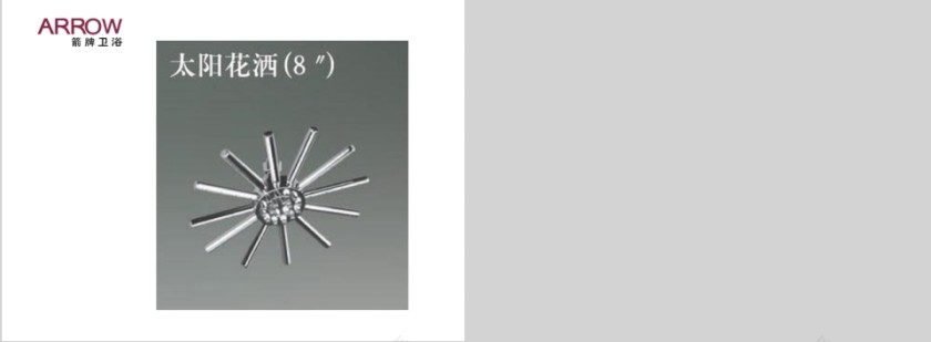 龙头系列PPT第13张