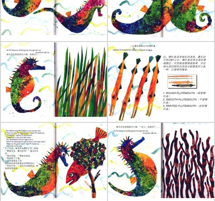 海马先生幼儿绘本教育课件 第2张