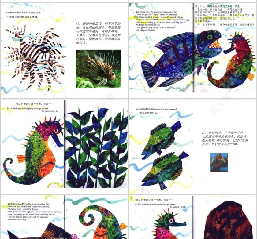 海马先生幼儿绘本教育课件 第3张
