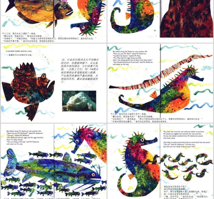 海马先生幼儿绘本教育课件 第4张