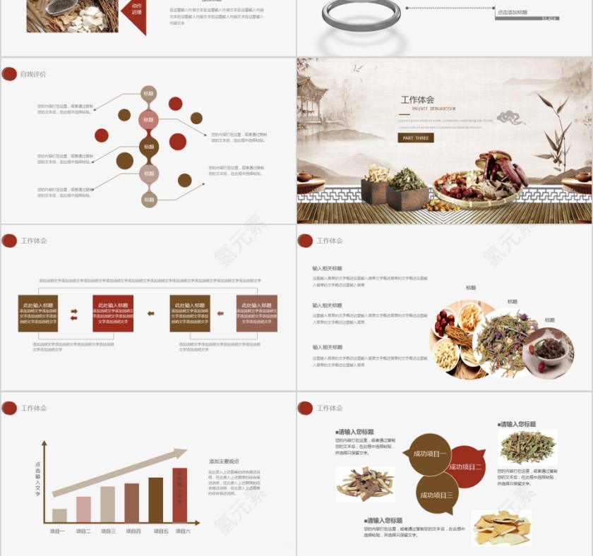 中医药材养生PPT模板第3张