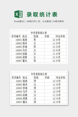 简约精美录取统计表Excel