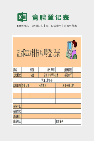 精美大气数据应聘登记表Excel