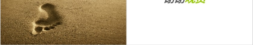 简约清新内训师培训PPT课件第14张