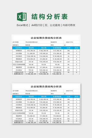 企业短期负债结构分析表模版