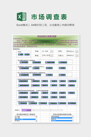 简单大方市场调查表EXcel