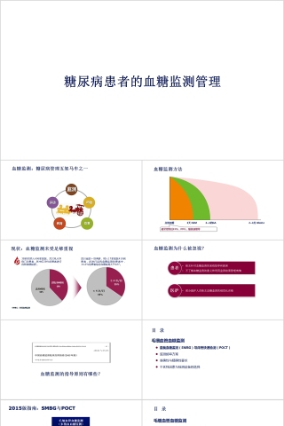 糖尿病患者的血糖监测管理ppt模板