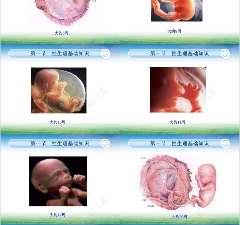 女生青春期性教育知识PPT第8张