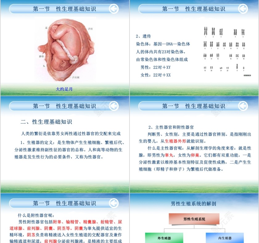 女生青春期性教育知识PPT第9张