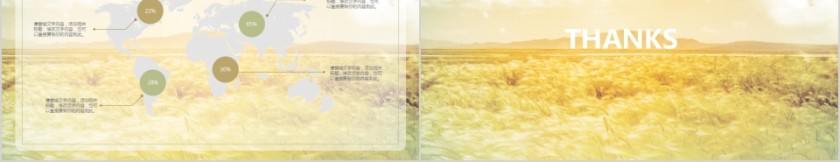 金色芦苇文艺小清新工作汇报PPT模板第5张