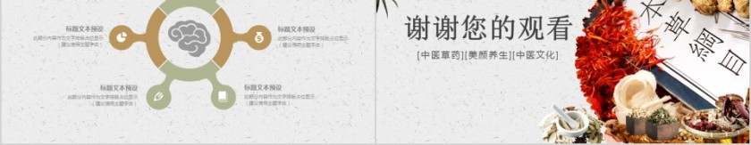 中医中药模版PPT第5张