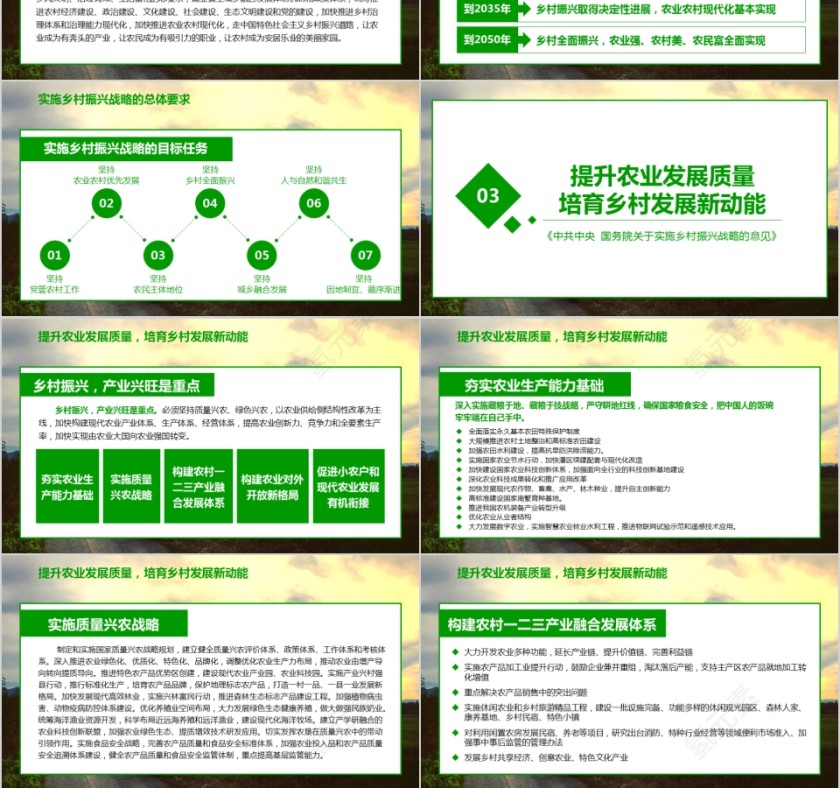全面部署实施乡村振兴战略第3张