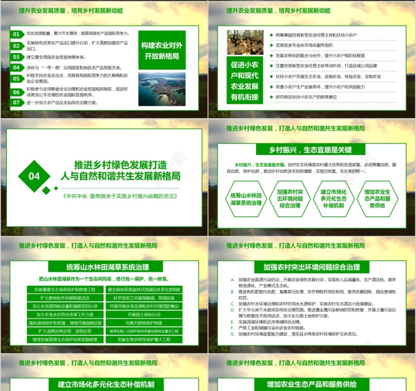 全面部署实施乡村振兴战略第4张