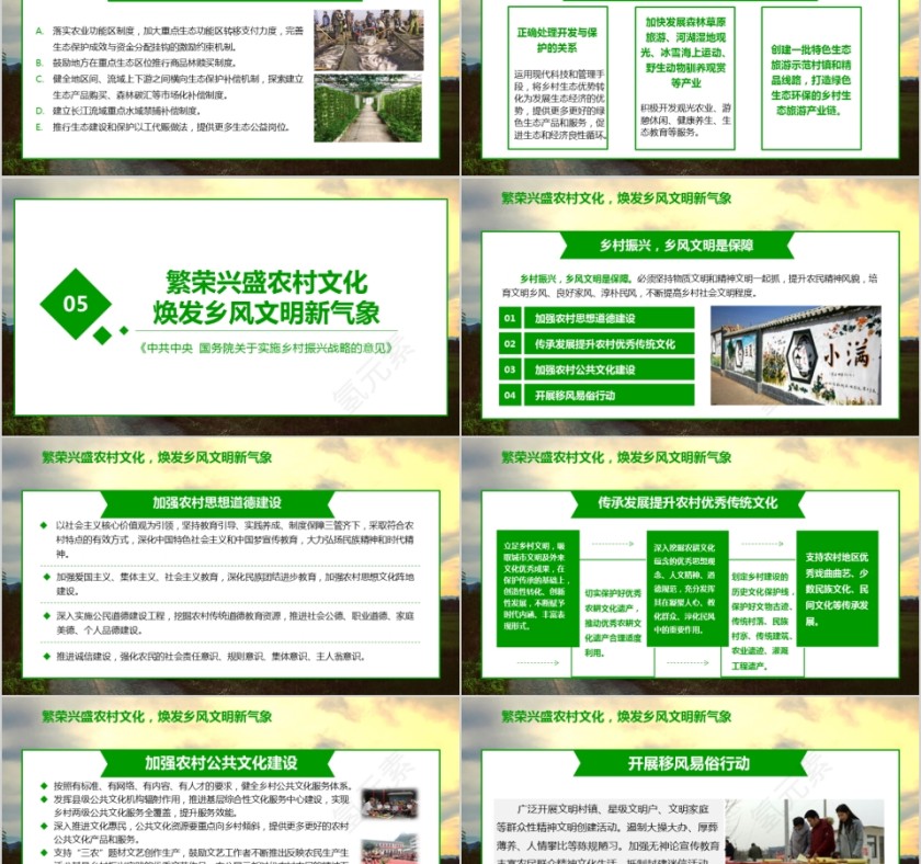 全面部署实施乡村振兴战略第5张