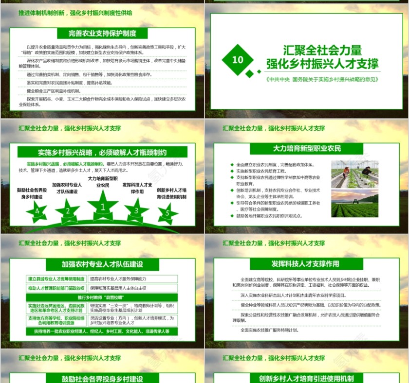 全面部署实施乡村振兴战略第10张