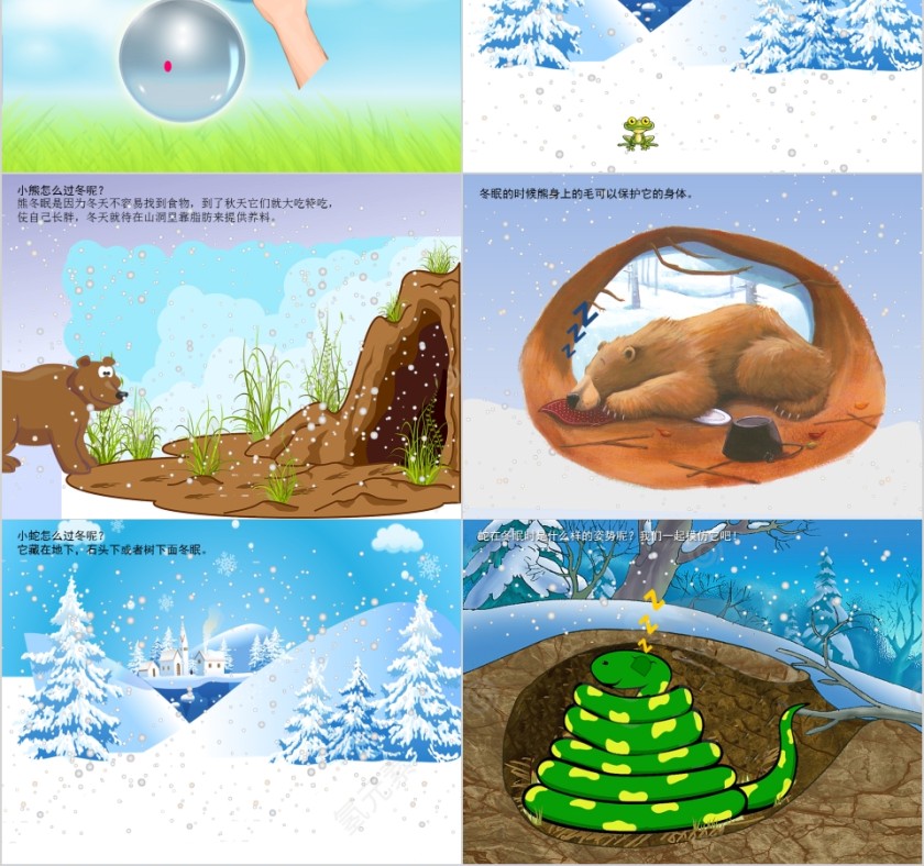 幼儿园创意美术冬眠的动物ppt第2张