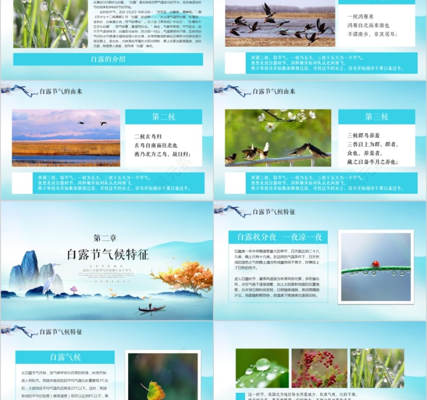 二十四节气之白露第2张