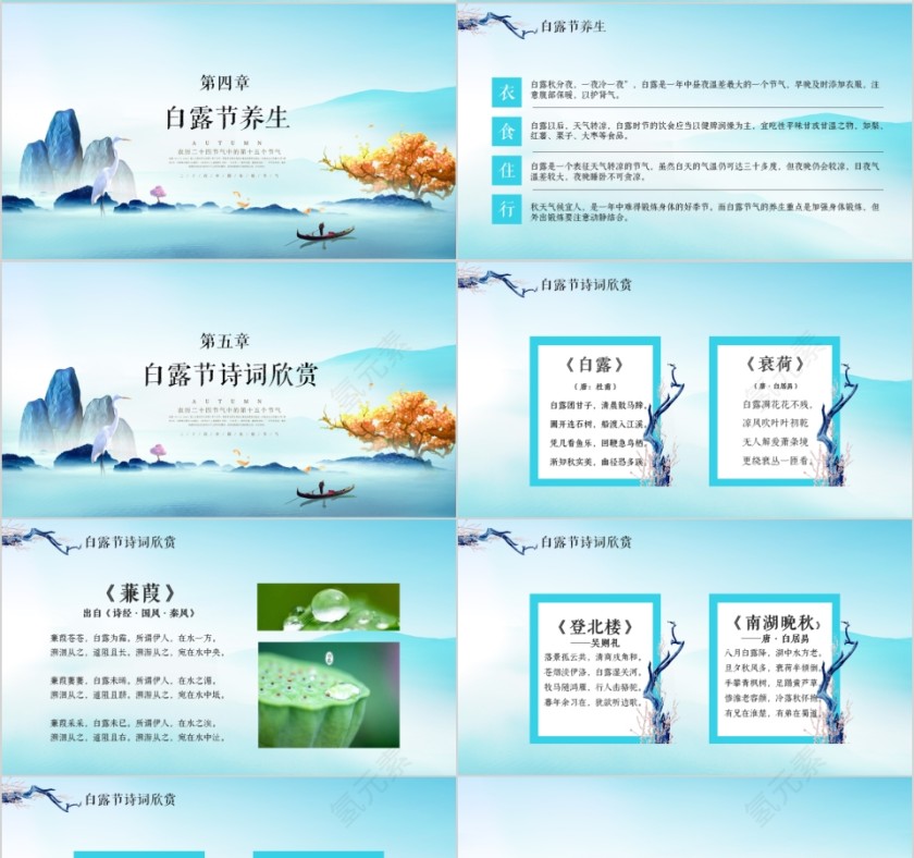 二十四节气之白露第4张