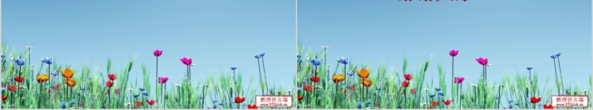 新老师培训如何与家长进行有效的沟通PPT第6张